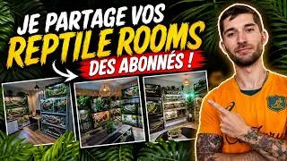 Miniature : Les reptiles rooms des abonnés vont-elles vous inspirer ? N°2