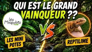 Miniature : Qui est le grand vainqueur de la coupe de France de terrariophilie 2026 !!!