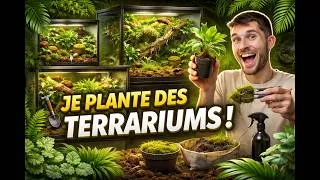 Miniature : Ces terrariums étaient vides… regardez maintenant !