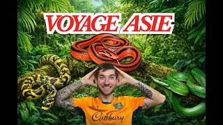 Miniature : Je pars en Asie… enfin presque !!!