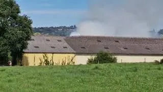 Miniature : Les Loges-Marchis : 500 porcs sauvés d’un incendie