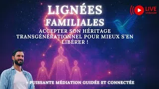 Miniature : Guérir les mémoires familiales : sortir des schémas répétitifs et retrouver sa liberté