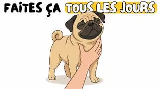 Miniature : Les 8 Preuves d'Amour que votre chien attend en secret