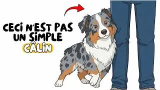 Miniature : 9 preuves ultimes que vous êtes son HUMAIN PRÉFÉRÉ
