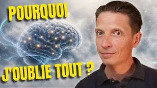 Miniature : Brouillard mental : les causes et solutions selon la Médecine Chinoise