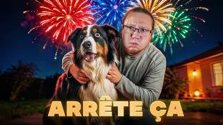 Miniature : Ton chien panique aux feux d'artifice ? (Fais ça !)