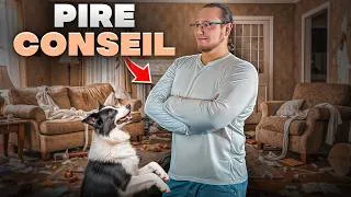 Miniature : Ignorer le chien : Le PIRE conseil !