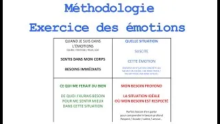 Miniature : Méthodologie pour l'exercice émotions | Intelligence émotionnelle | La Méthode Vittoz en Famille