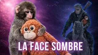 Miniature : Punch: la face sombre du singe viral