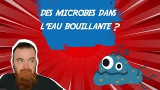 Miniature : Comment vivre dans l'eau bouillante ?