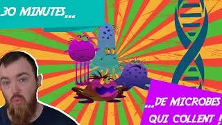 Miniature : Les biofilm, mais en gros !