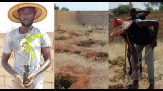 Miniature : Vlog du G-Project (LEKKI)☘
