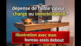 Miniature : Charge ou immobilisation ?