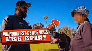 Miniature : Cette femme demande pourquoi les musulmans détestent les chiens ?