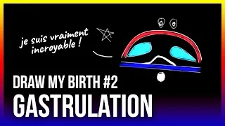Miniature : GASTRULATION - Draw My Birth #2