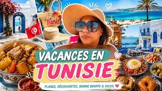 Miniature : Mon incroyable voyage en Tunisie 