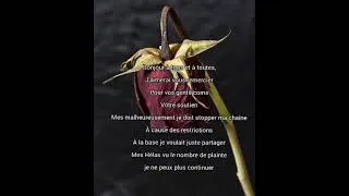 Miniature : merci pour tout 🌹♥️