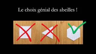 Miniature : Pourquoi les alvéoles des ruches sont hexagonales ?