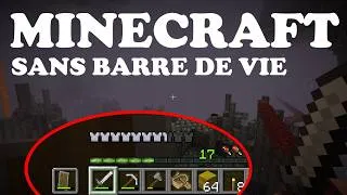 Miniature : MINECRAFT Mais je n'ai PAS DE BARRE DE VIE