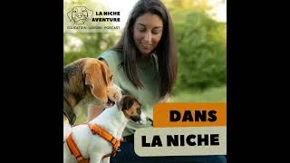 Miniature : Ton chiot ne t’écoute pas… et c’est complètement normal - DLN23