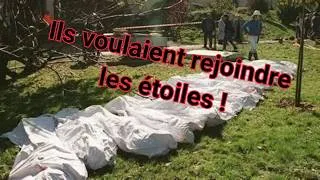 Miniature : Ordre du Temple Solaire : Comment Ont-ils Manipulé Autant de Victimes ?