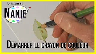 Miniature : Démarrer au crayon de couleur - 7 étapes pour dessiner comme un pro