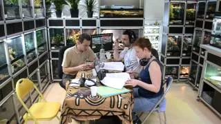 Miniature : La Passion des Reptiles en direct de la Ferme Tropicale