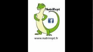 Miniature : Nutrirept