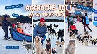 Miniature : 48H À LA MONTAGNE AVEC DES CHIENS : UNE EXPÉRIENCE INOUBLIABLE 😍