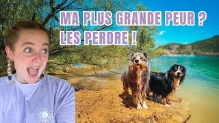 Miniature : LE TRACEUR GPS POUR CHIENS TRACTIVE ? Mon avis sur le Tractive DOG 6 🐕
