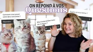 Miniature : J'AI ADOPTÉ UN CHATON ! On vous dit tout 😻