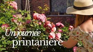Miniature : Une journée cosy | Balade, roses du jardin & création d'un cadre