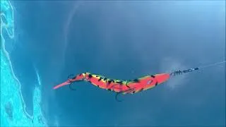 Miniature : Vidéo Prédator