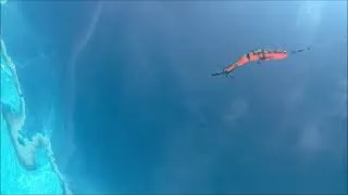 Miniature : Vidéo Swim perche