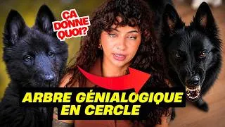 Miniature : Ma chienne est interdite, je vous explique pourquoi