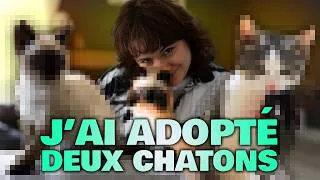 Miniature : J’adopte 2 CHATONS ?! 🐈‍⬛🐈