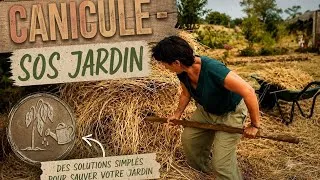 Miniature : Canicule - 3 astuces pour protéger vos plantes au jardin | Silent vlog
