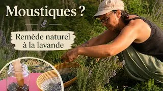 Miniature : Macérât huileux à la lavande pour les piqûres d'insectes - [slow Vlog]