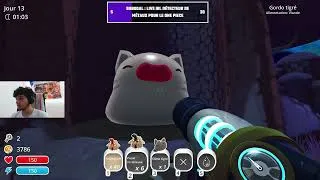 Miniature : Plein de nouveaux slime ! ( Slime rancher ) #2