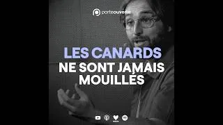 Miniature : Les canards ne sont jamais mouillés [05/07/2026]