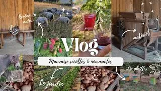 Miniature : Vlog - Valoriser les mauvaises récoltes, nouveaux animaux & co