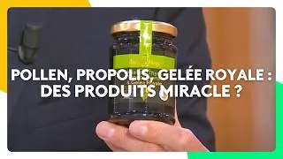Miniature : Pollen, propolis, gelée royale : sont-ils vraiment des produits miracle ?