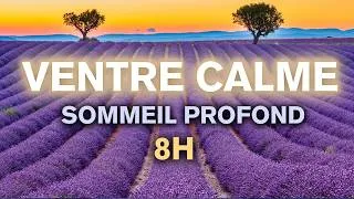 Miniature : 🌴Calmer L'INFLAMMATION du côlon pendant le SOMMEIL (grillons + cigales)