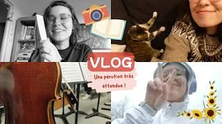 Miniature : VLOG #32 - Semaine chaotique et nouvelle parution ! 🥳