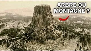 Miniature : Ces Montagnes Cachent-Elles les Restes d’Arbres Géants ?