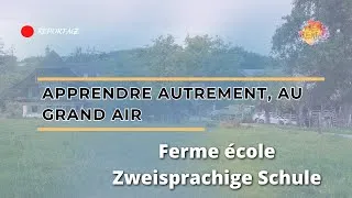 Miniature : Ferme-école : apprendre autrement, au contact de la nature