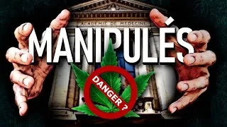 Miniature : ENQUÊTE : L'autre guerre cachée du cannabis