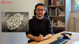 Miniature : Chrysanthème de ténorite...ou l'histoire de l'image d'un grain de monoxyde de cuivre !