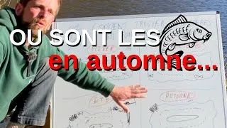 Miniature : COMMENT trouver les carpes en automne ?
