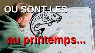 Miniature : COMMENT trouver les carpes au PRINTEMPS ?